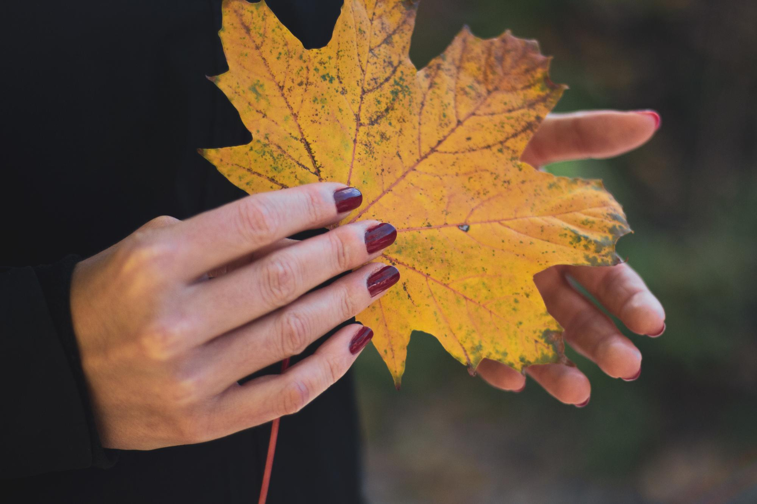 manicura otoño tendencias